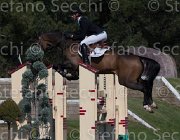 Schuttert Up to Date TosTour2013- S5 2148 : Arezzo, Arezzo Equestrian Centre, Schuttert Hendrik, Toscana Tour 2013, Up to Date, foto di Stefano Secchi ©